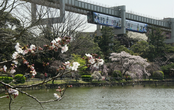  千葉県最大の中心地！都市機能と自然環境のバランスに優れた「千葉」4